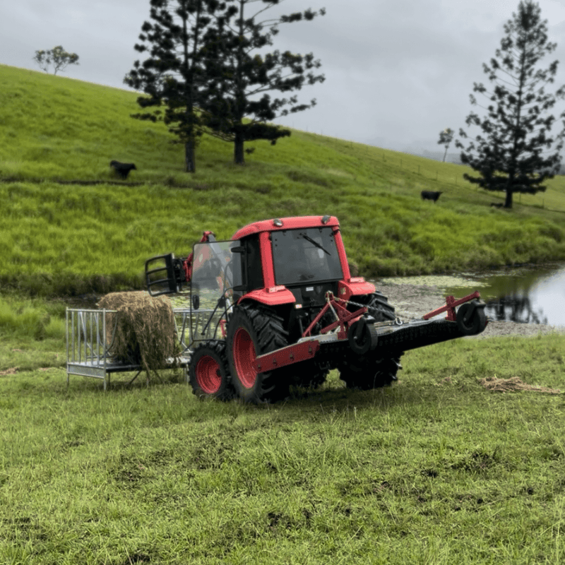 Celebrating our first fodder harvest at Ataraxis Farms