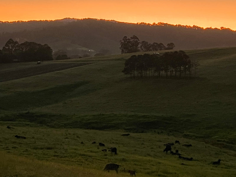 A new year begins at Ataraxis Farms
