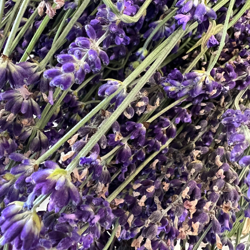 From our patch to your home