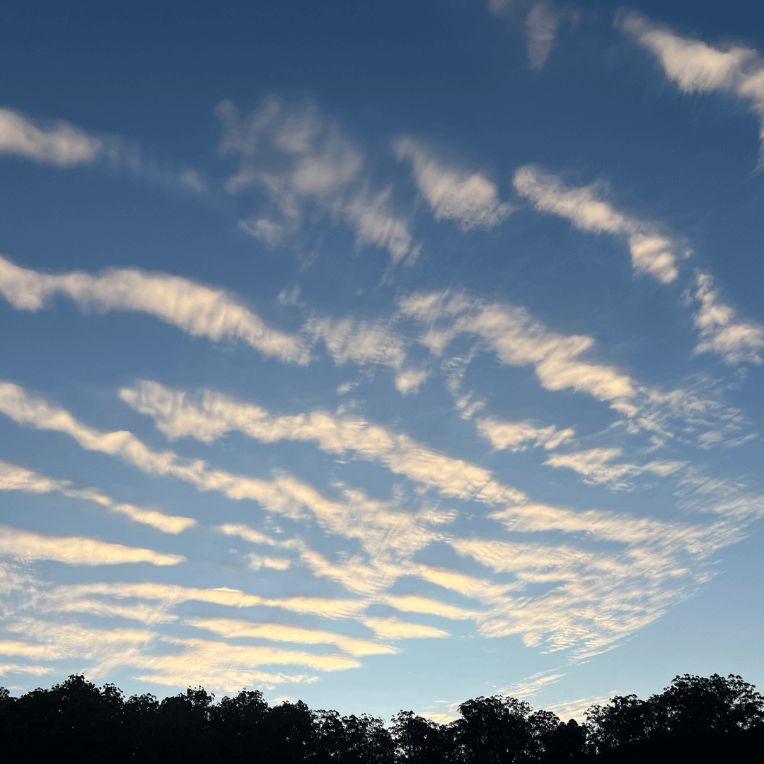 Why your body is tired at the end of the year, and how nature helps you reset