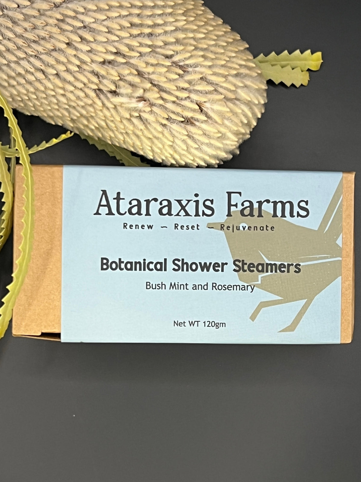 Bush Mint and Rosemary Botanical Shower Steamers (Breathe Easy)