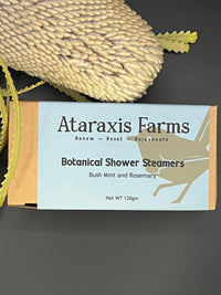 Bush Mint and Rosemary Botanical Shower Steamers (Breathe Easy)