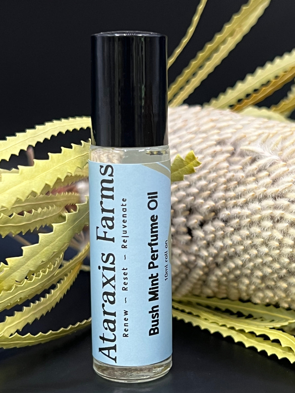 Bush Mint Perfume Oil