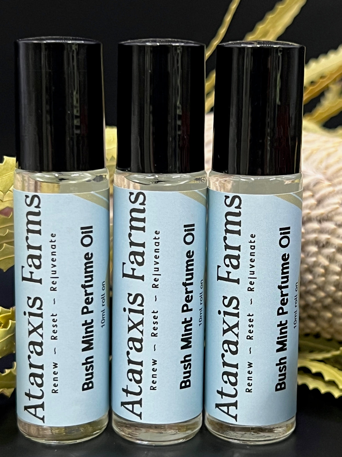 Bush Mint Perfume Oil