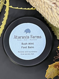 Bush Mint Foot Balm
