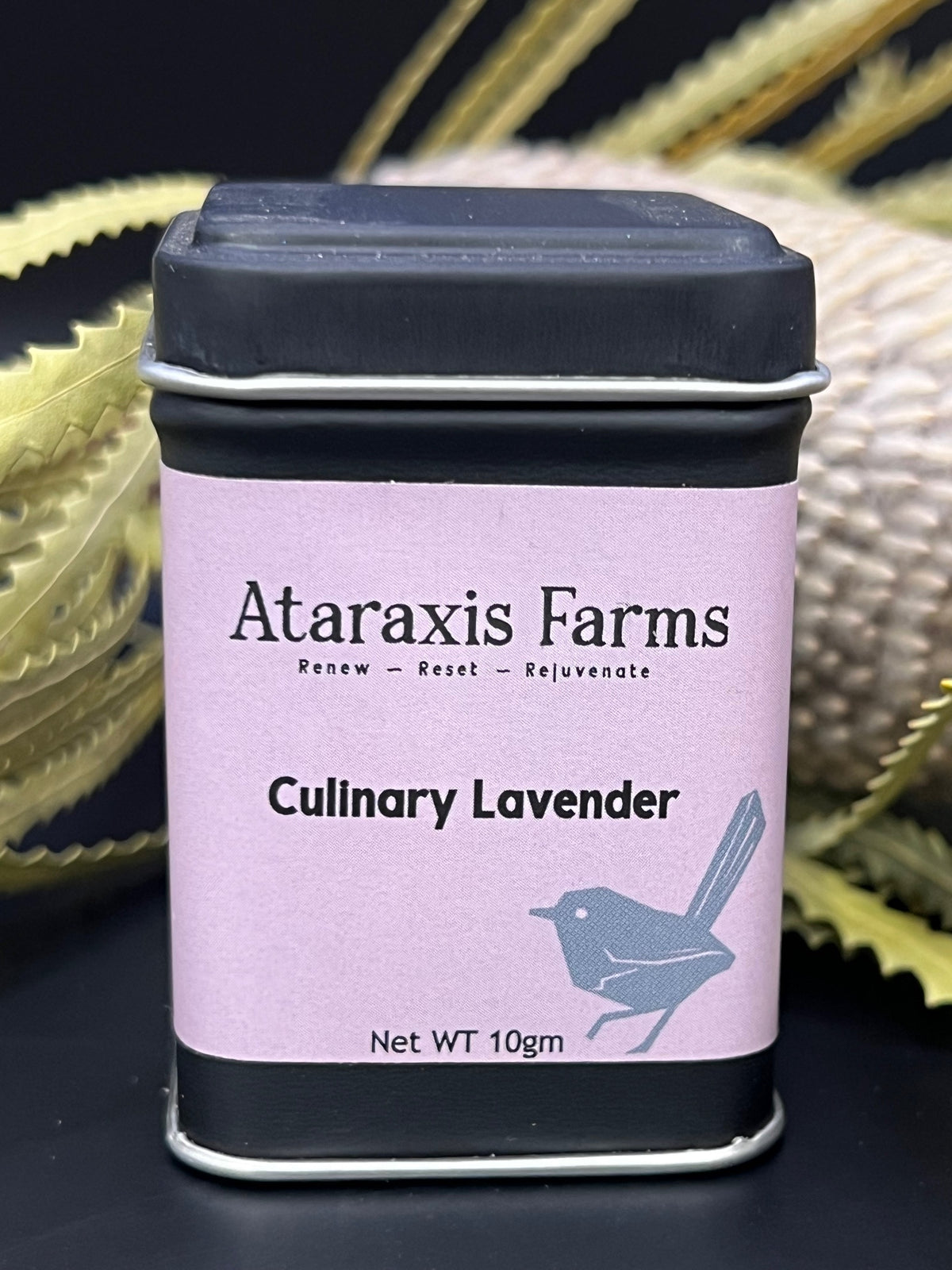 Culinary Lavender