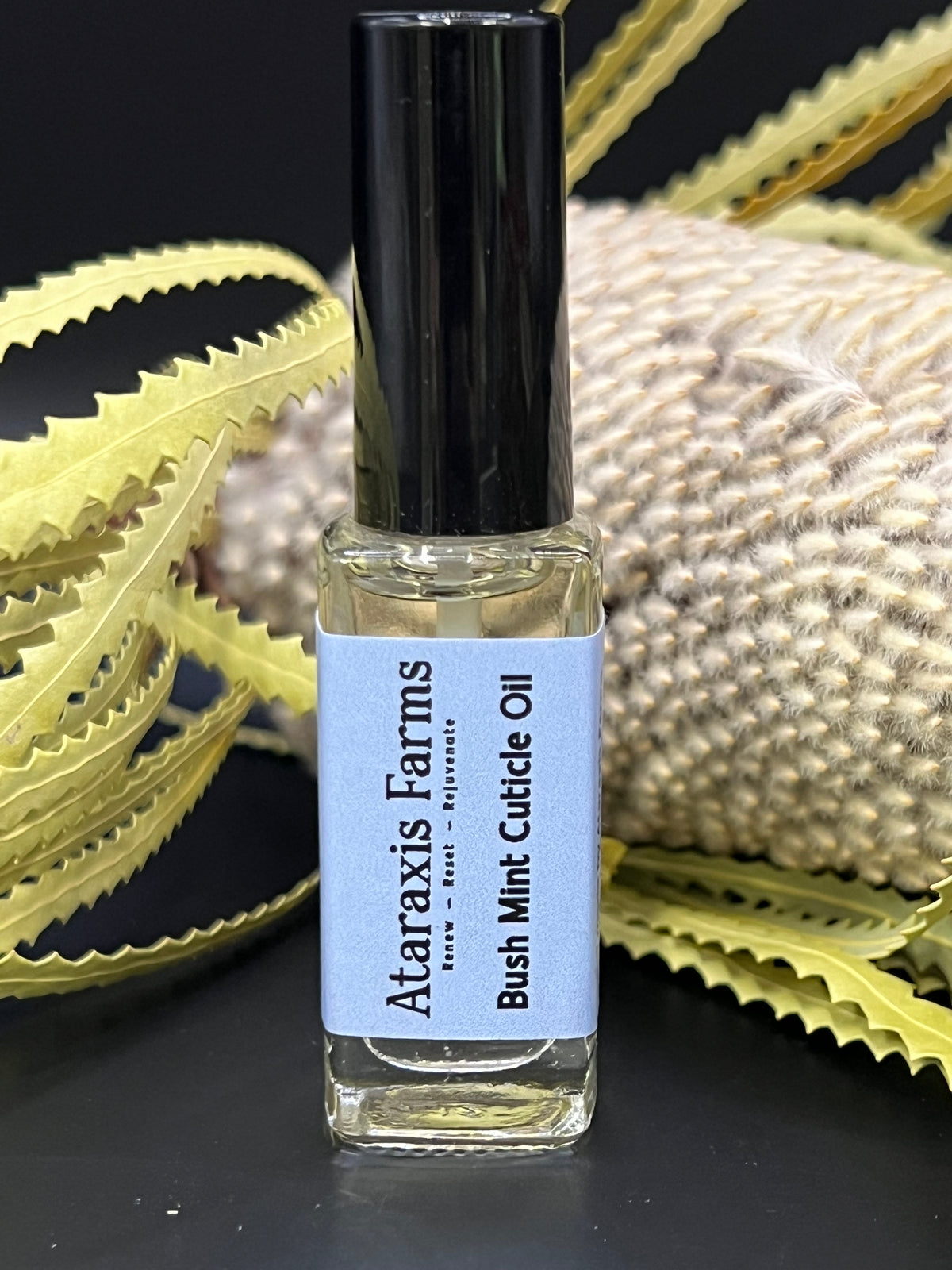 Bush Mint Cuticle Oil