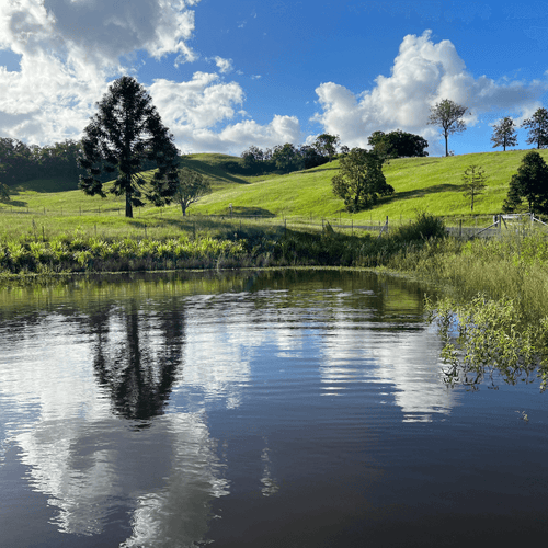 Ataraxis Farms landscape with a dam, grassy hills, and trees under a blue sky with clouds.