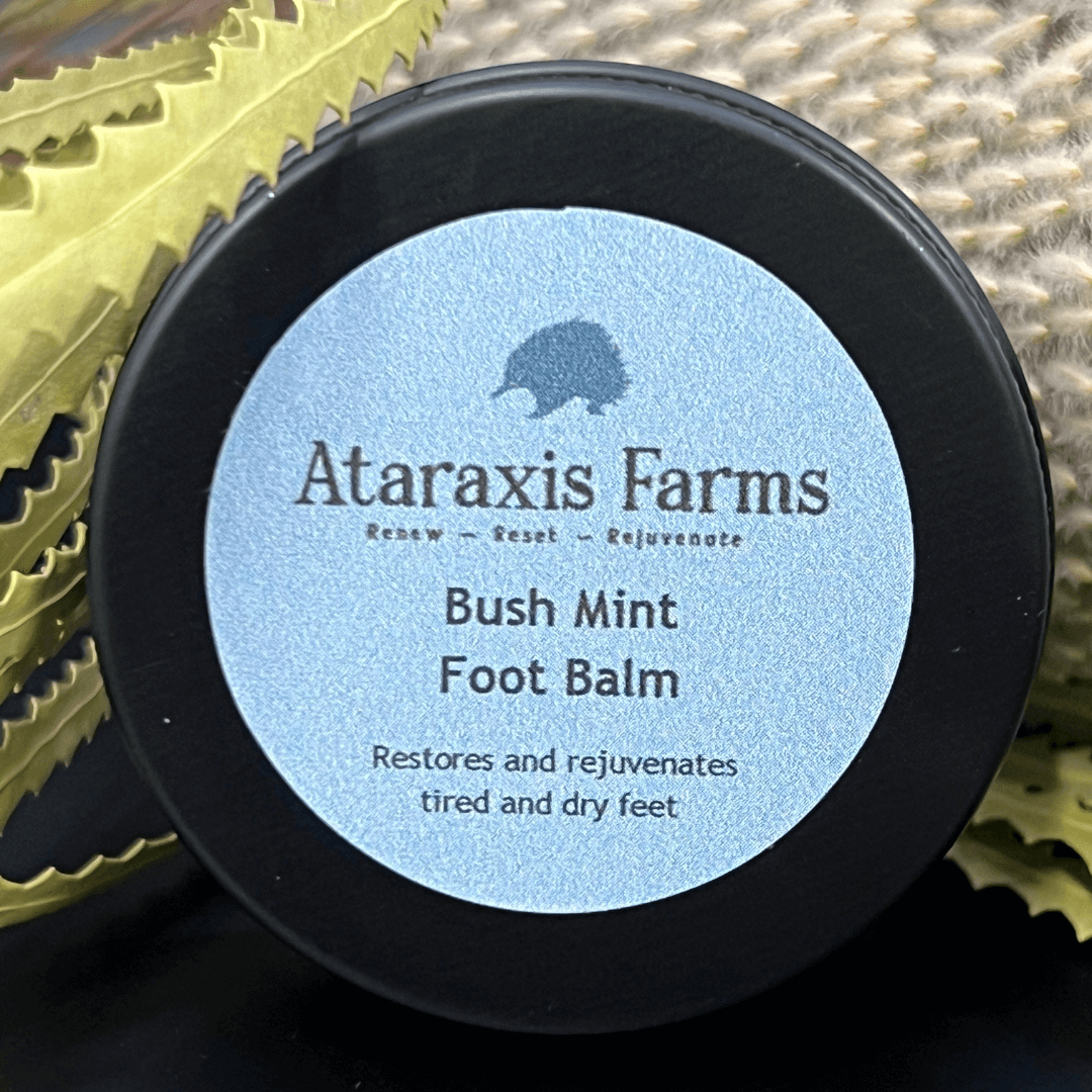 Ataraxis Farms Bush Mint Foot Balm.