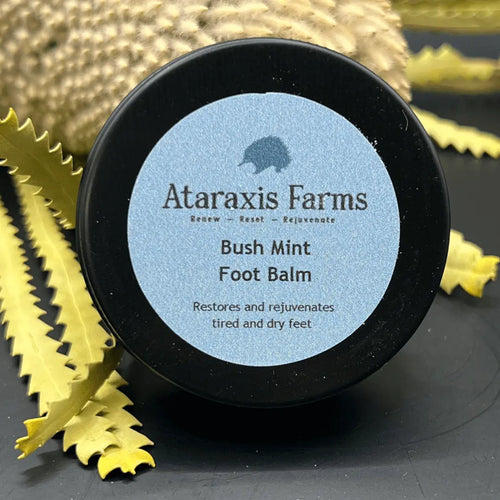 Nourishing Shea Butter based Ataraxis Farms Bush Mint Foot Balm