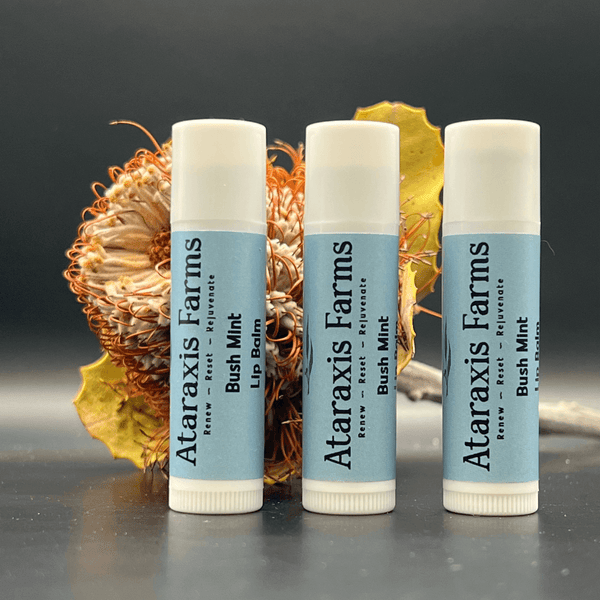 Ataraxis Farms Bush Mint Lip Balm