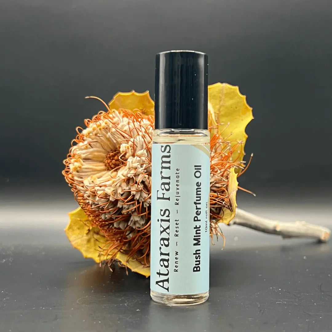 Bush Mint Perfume Oil | Australian Botanical Fragrance – Ataraxis Farms