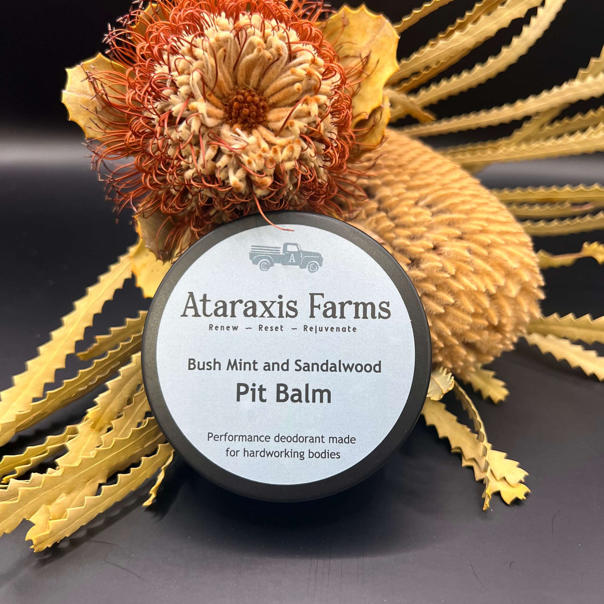 Ataraxis Farms Pit Balm natural deodorant tin displaying the front lid with product name.