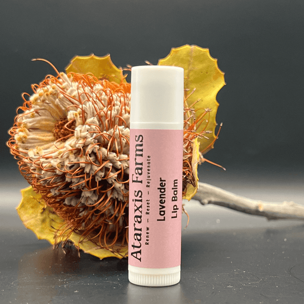 Ataraxis Farms Lavender Lip Balm
