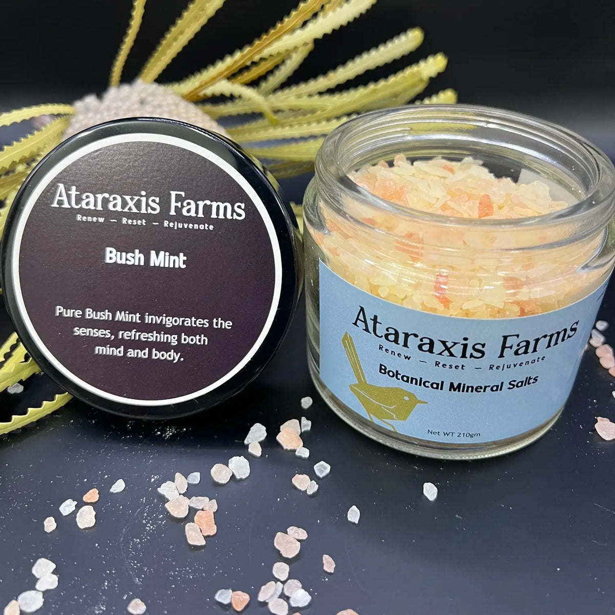 Ataraxis Farms Bush Mint Botanical Mineral Salts made with 100% natural Himalayan Pink Salt.