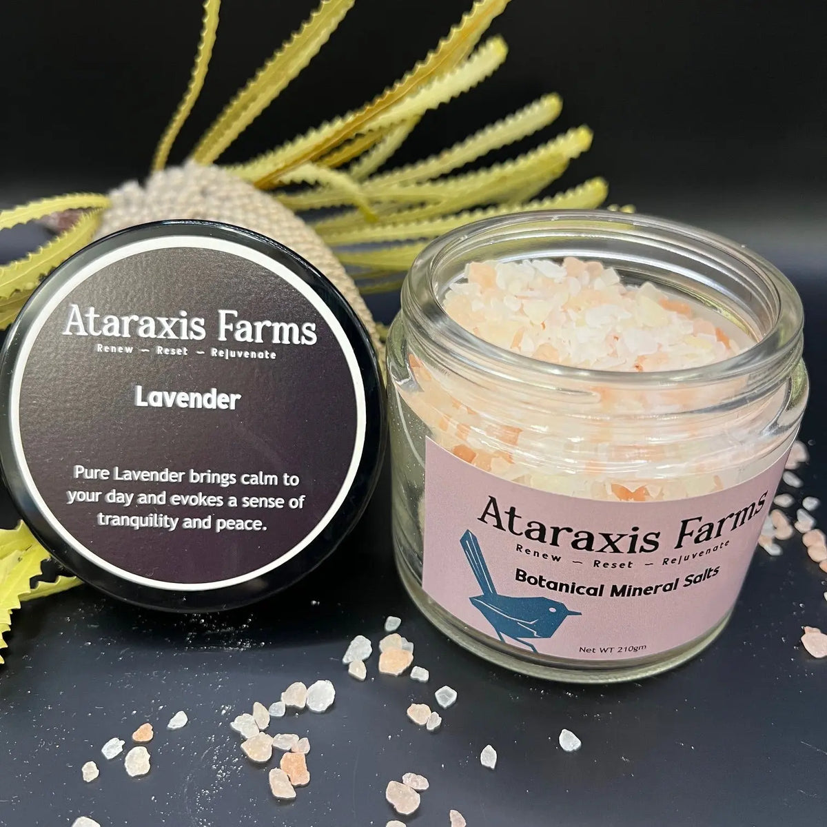 Ataraxis Farms Lavender Botanical Mineral Salts made with 100% natural Himalayan Pink Salt.