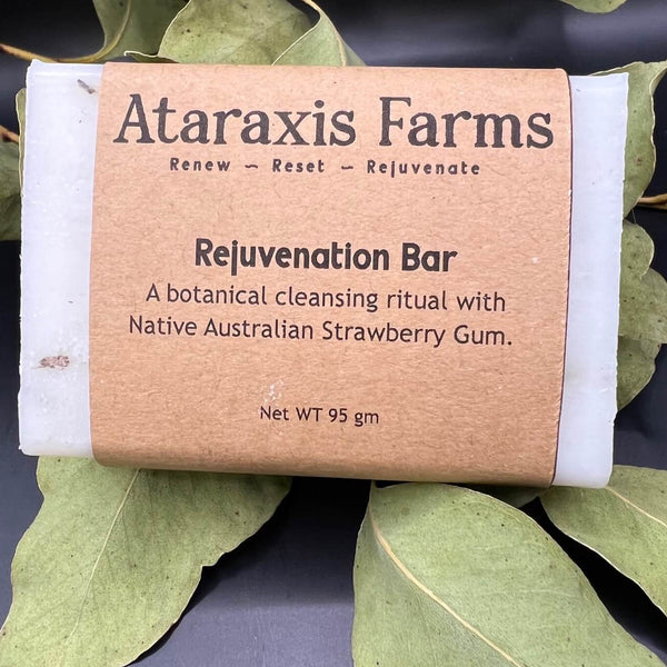 A bar of Ataraxis Farms Rejuvenation Bar soap - a botanical cleansing ritual with native Australian Strawberry Gum.