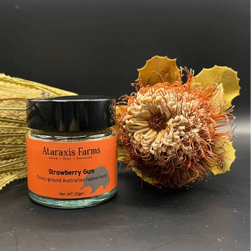 100% natural, small batch and hand harvested Ataraxis Farms Ground Strawberry Gum 