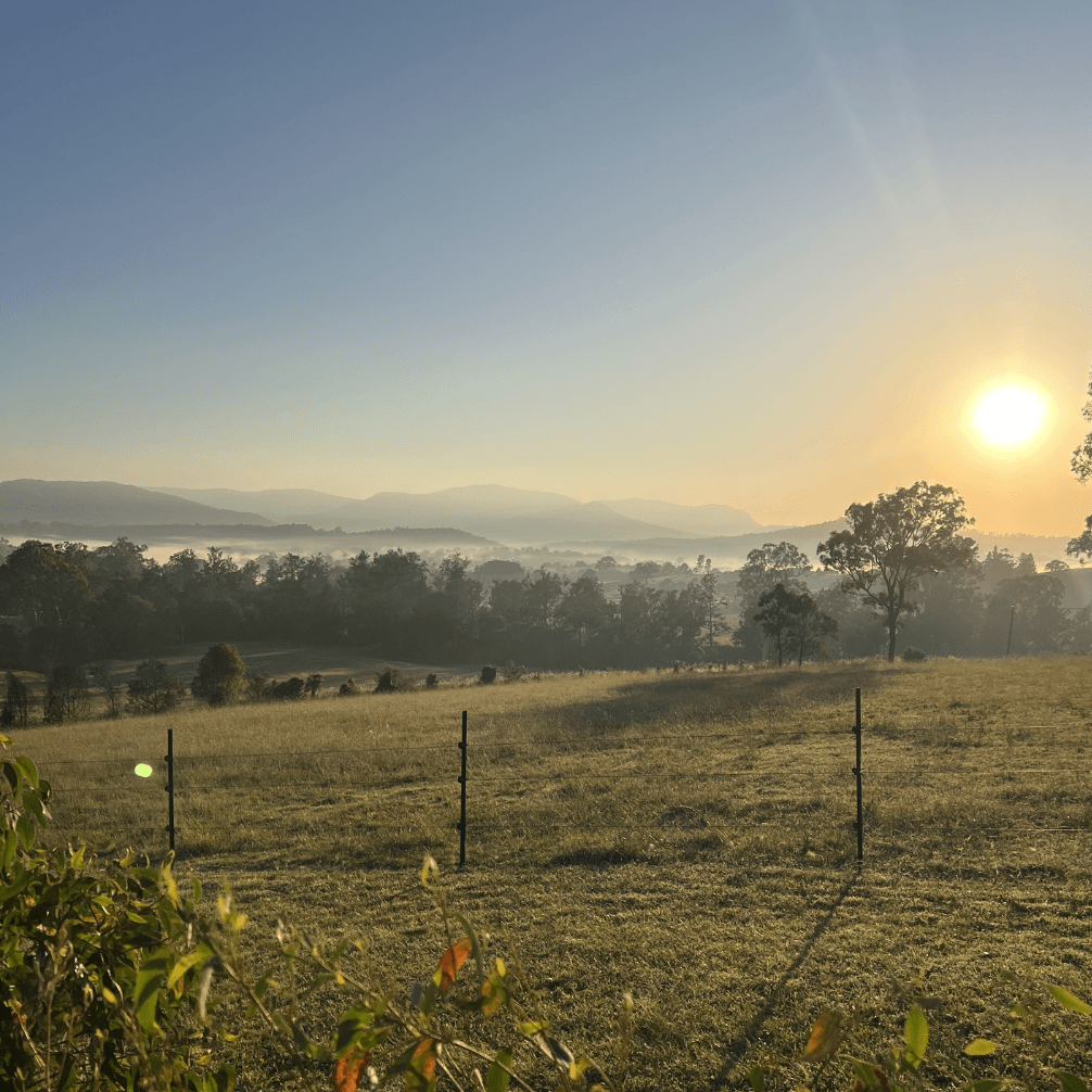 Sunrise over a misty field with trees and mountains in the background