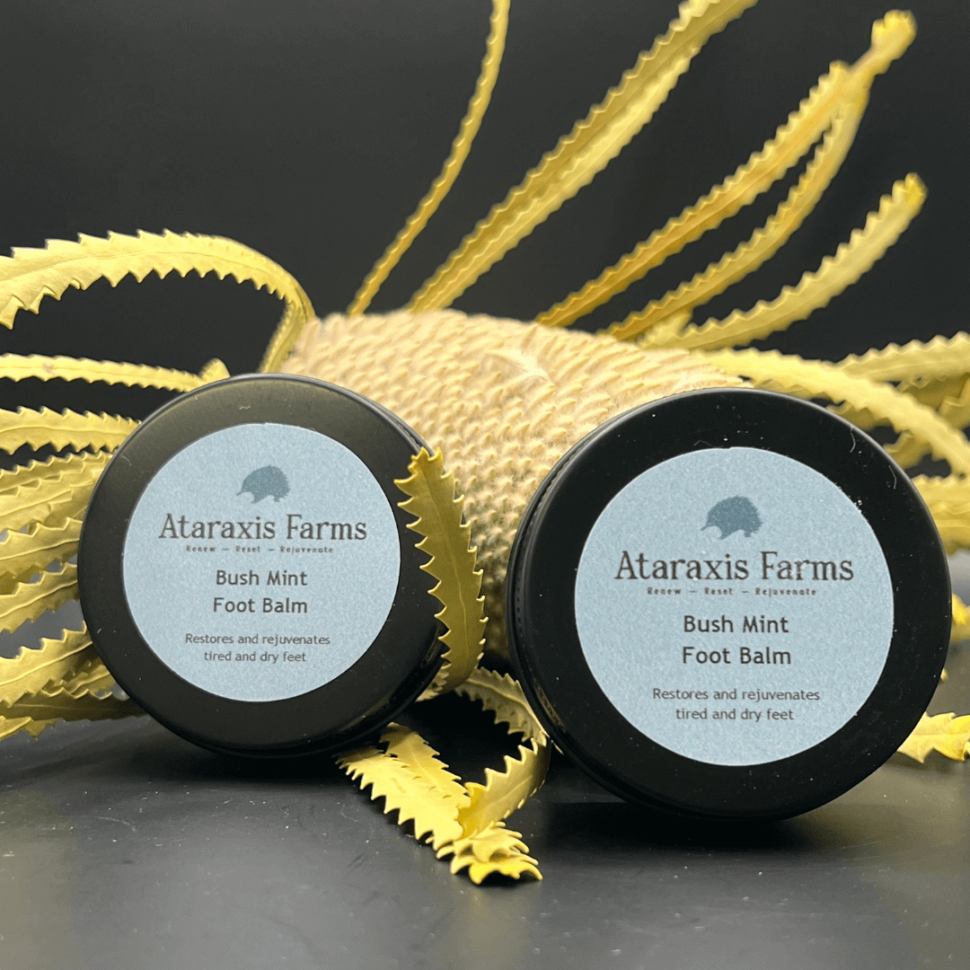 Ataraxis Farms Bush Mint Foot Balm